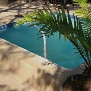 Palm fronds over the pool